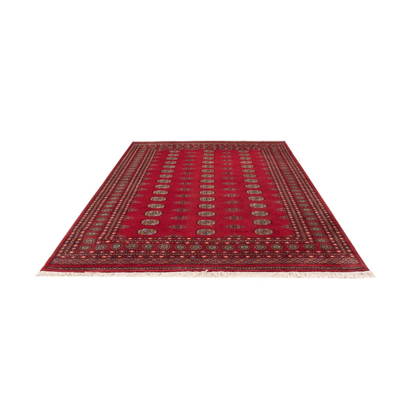 Afghaans tapijt - Bukhara - 302 x 202 cm - rood