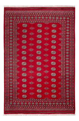 Afghaans tapijt - Bukhara - 303 x 205 cm - rood
