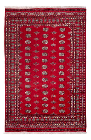 Afghaans tapijt - Bukhara - 303 x 205 cm - rood