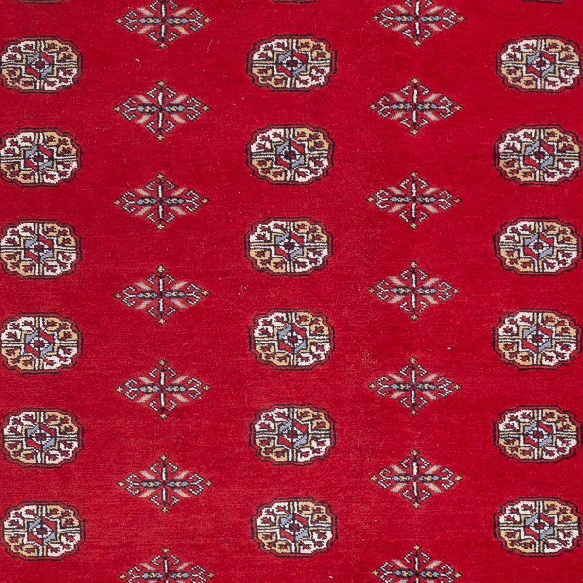 Afghaans tapijt - Bukhara - 303 x 205 cm - rood