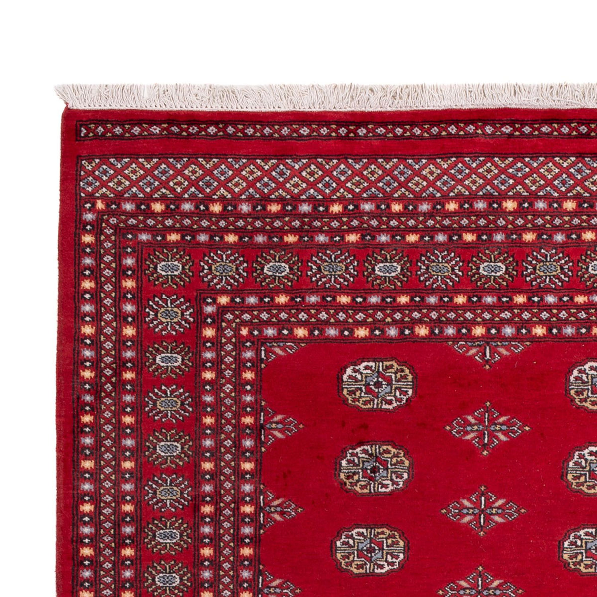 Afghaans tapijt - Bukhara - 303 x 205 cm - rood