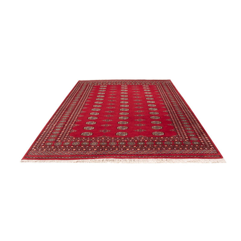 Afghaans tapijt - Bukhara - 303 x 205 cm - rood