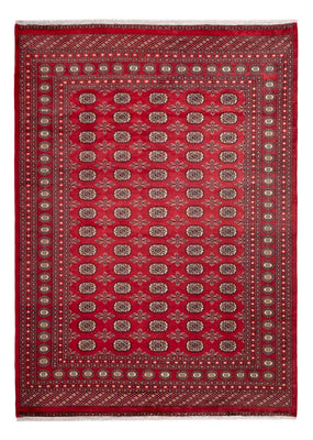 Afghaans tapijt - Bukhara - 297 x 220 cm - rood