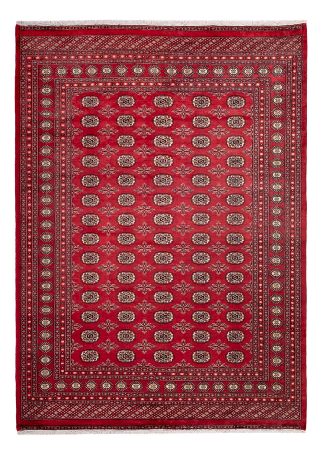 Afghaans tapijt - Bukhara - 297 x 220 cm - rood