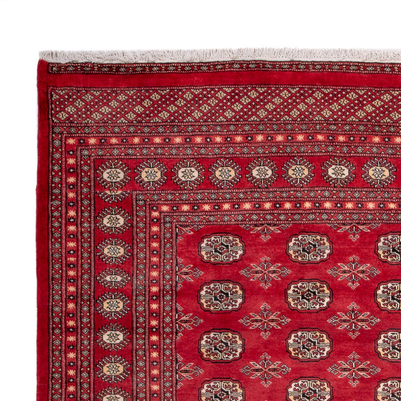 Afghaans tapijt - Bukhara - 297 x 220 cm - rood