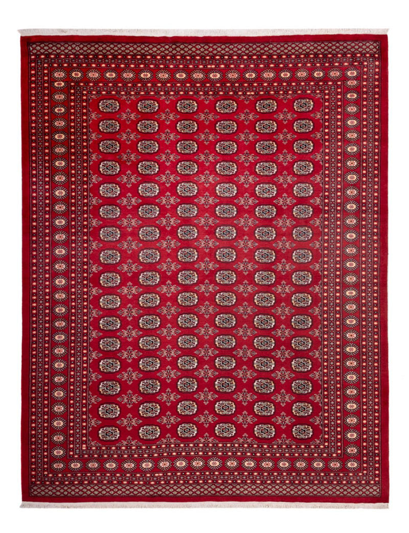 Afghaans tapijt - Bukhara - 322 x 248 cm - rood