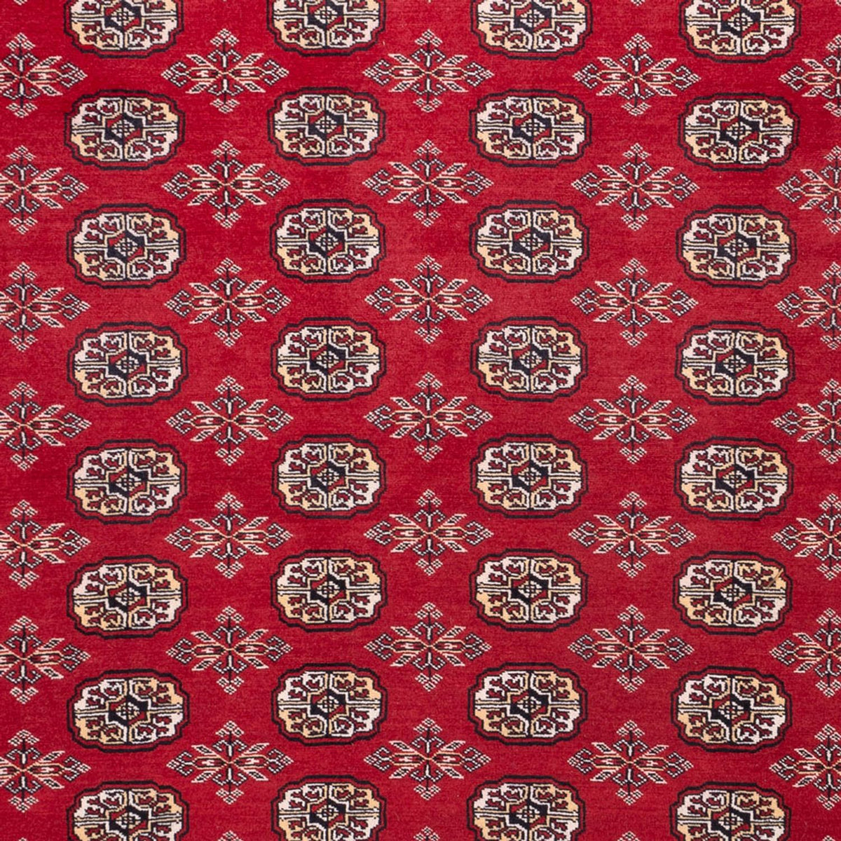 Afghaans tapijt - Bukhara - 322 x 248 cm - rood