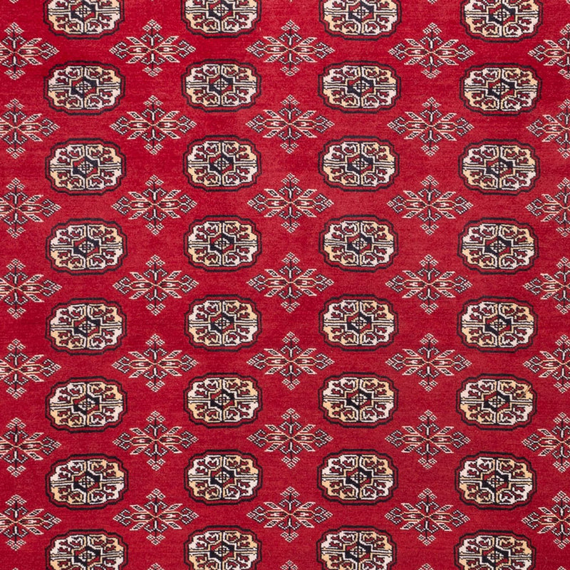 Afghaans tapijt - Bukhara - 322 x 248 cm - rood