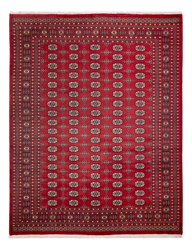 Afghaans tapijt - Bukhara - 312 x 245 cm - rood