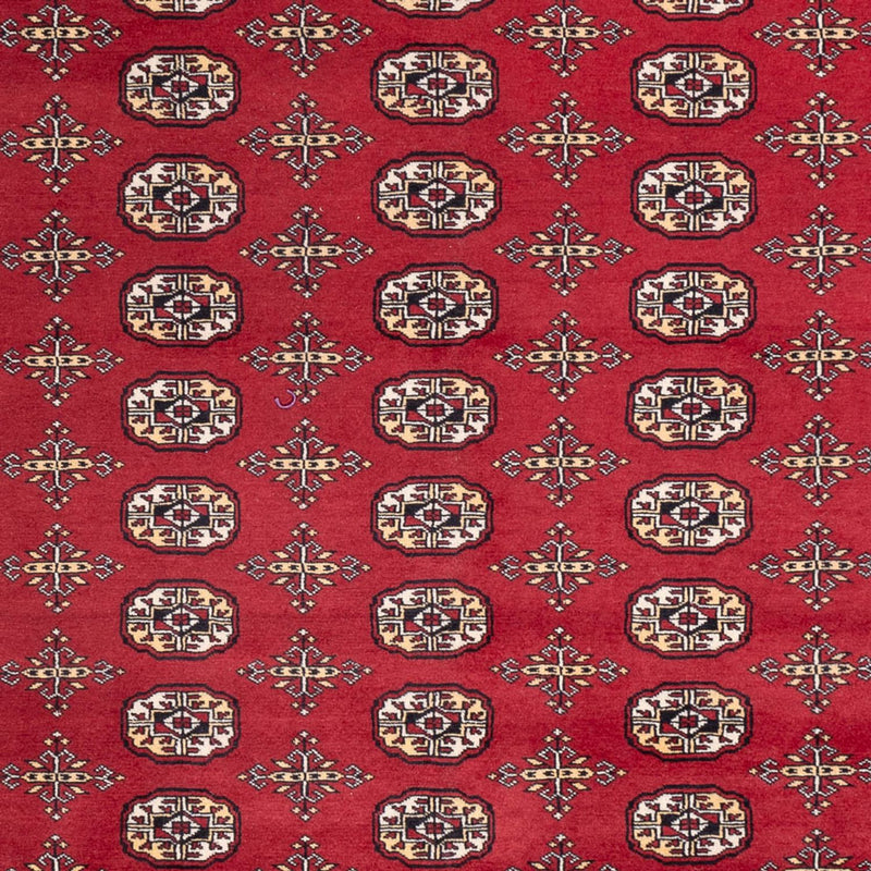 Afghaans tapijt - Bukhara - 312 x 245 cm - rood