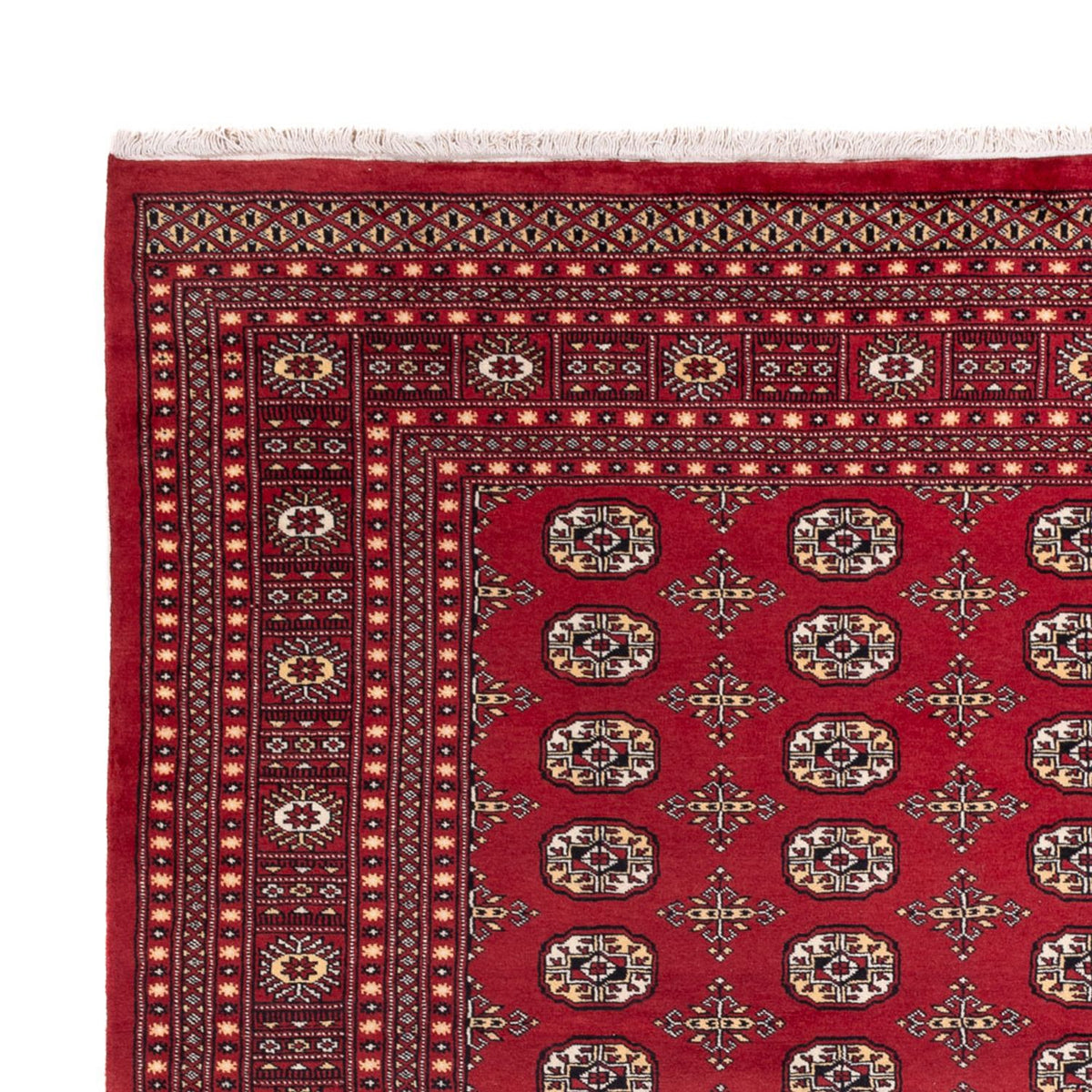 Afghaans tapijt - Bukhara - 312 x 245 cm - rood