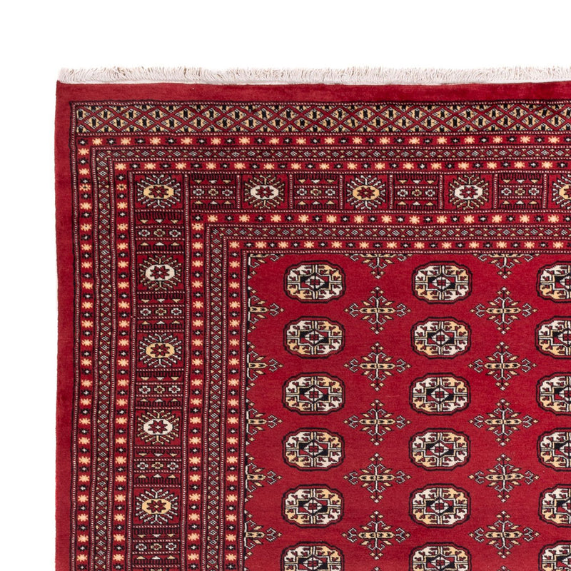 Afghaans tapijt - Bukhara - 312 x 245 cm - rood