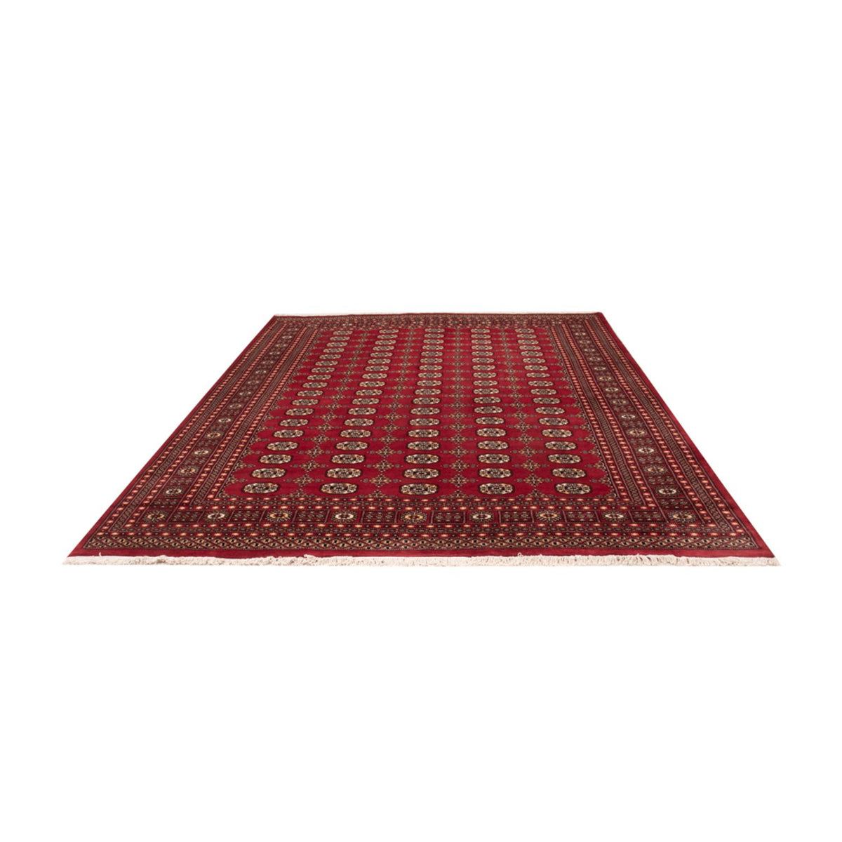 Afghaans tapijt - Bukhara - 312 x 245 cm - rood