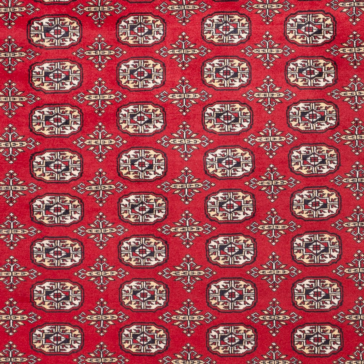 Afghaans tapijt - Bukhara - 311 x 243 cm - rood