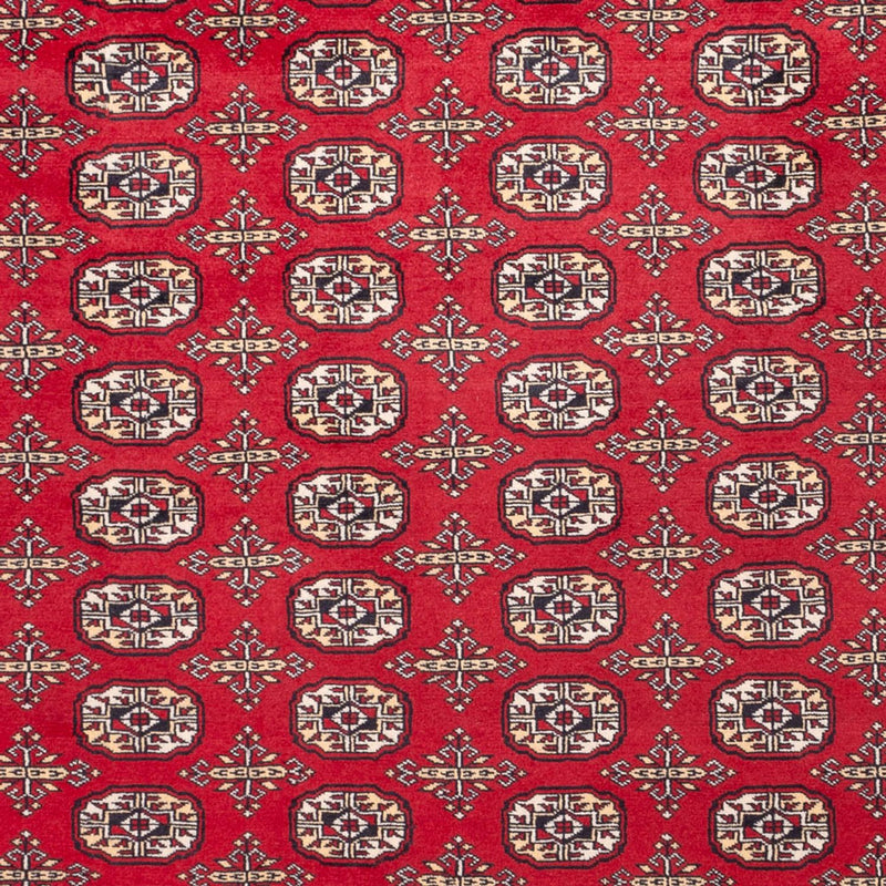 Afghaans tapijt - Bukhara - 311 x 243 cm - rood