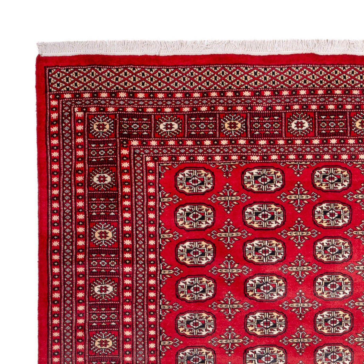 Afghaans tapijt - Bukhara - 311 x 243 cm - rood