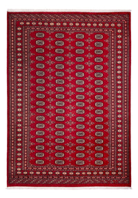 Afghaans tapijt - Bukhara - 297 x 213 cm - rood