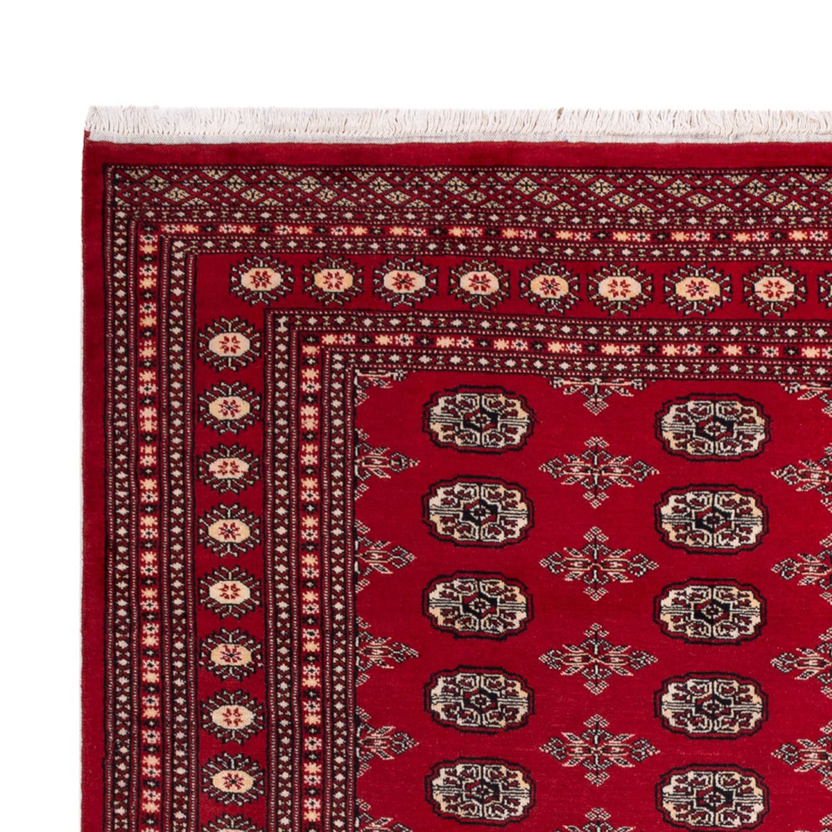 Afghaans tapijt - Bukhara - 297 x 213 cm - rood