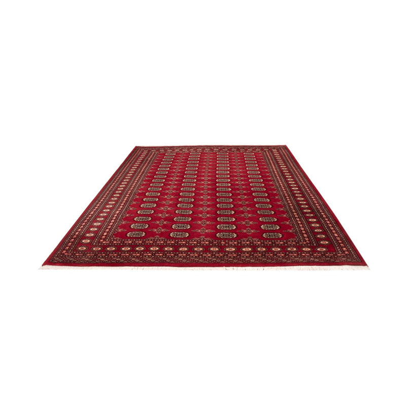Afghaans tapijt - Bukhara - 297 x 213 cm - rood