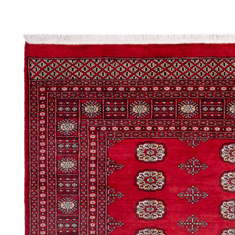 Afghaans tapijt - Bukhara - 306 x 197 cm - rood