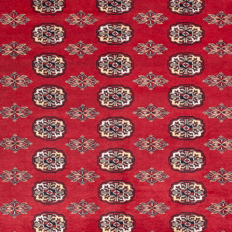 Afghaans tapijt - Bukhara - 307 x 247 cm - rood