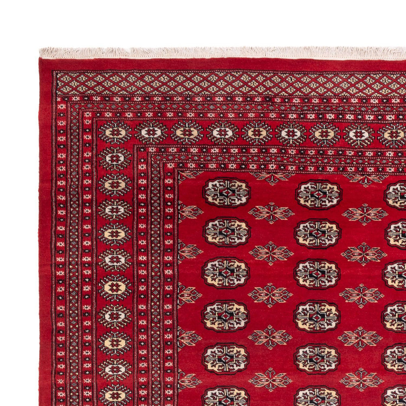 Afghaans tapijt - Bukhara - 307 x 247 cm - rood