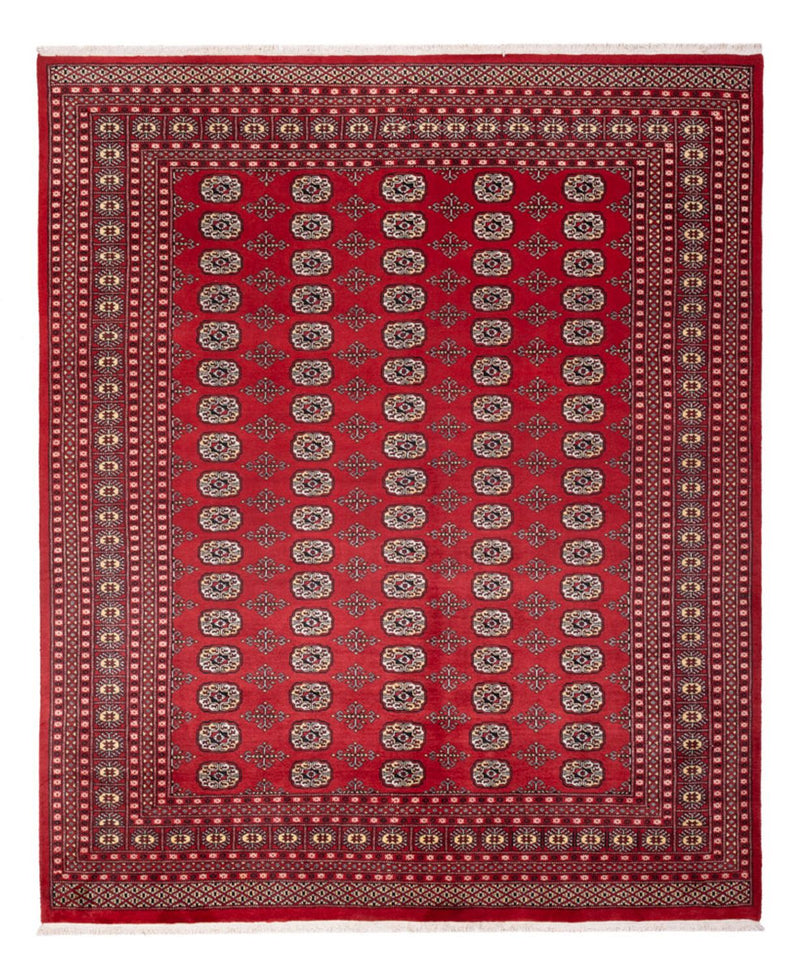 Afghaans tapijt - Bukhara - 298 x 243 cm - rood