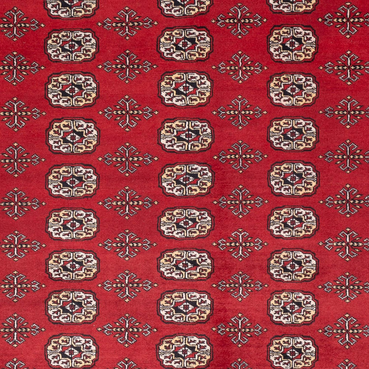 Afghaans tapijt - Bukhara - 298 x 243 cm - rood