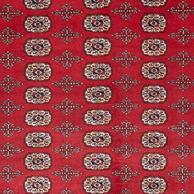 Afghaans tapijt - Bukhara - 298 x 243 cm - rood