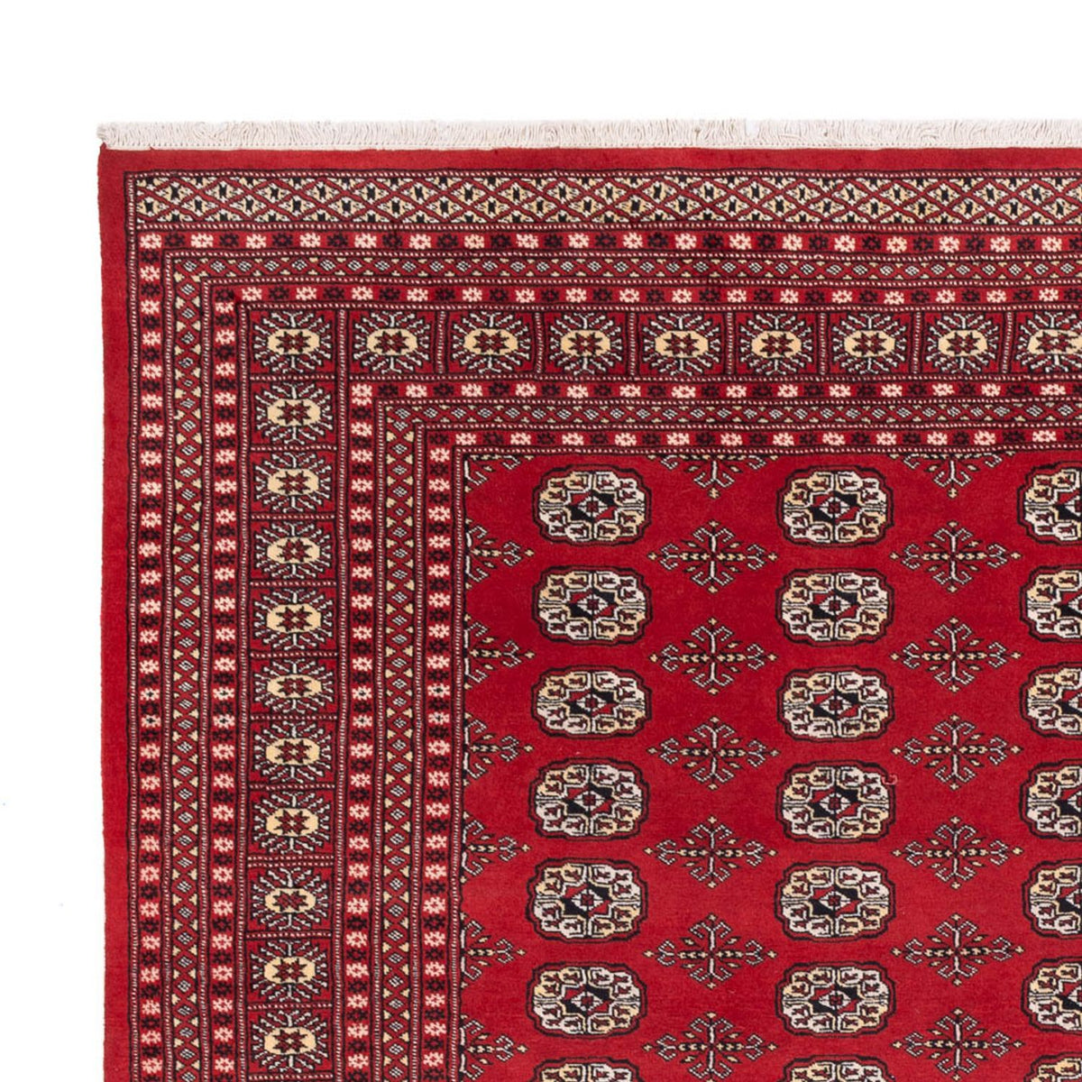 Afghaans tapijt - Bukhara - 298 x 243 cm - rood