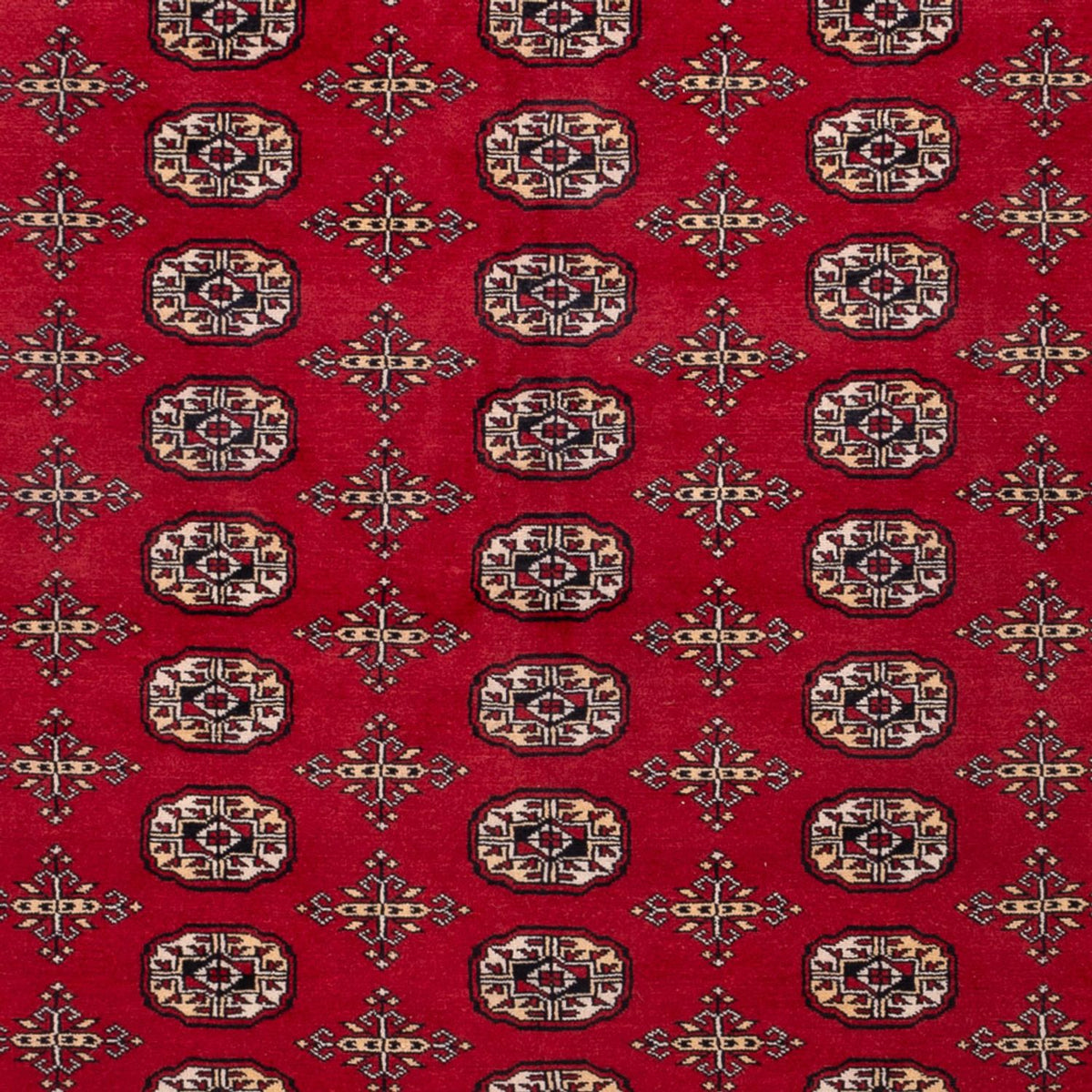 Afghaans tapijt - Bukhara - 308 x 243 cm - rood