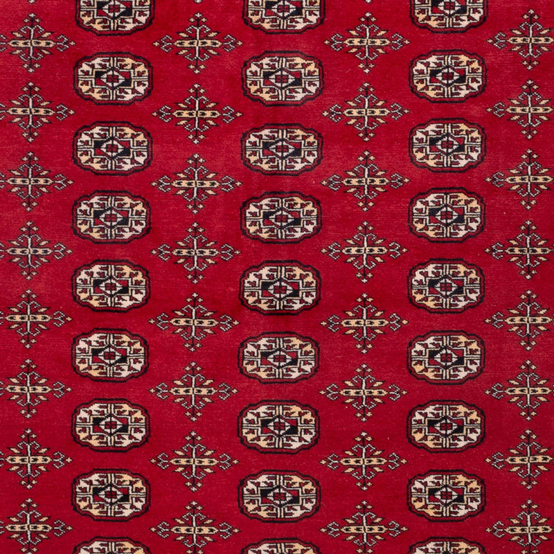 Afghaans tapijt - Bukhara - 308 x 243 cm - rood