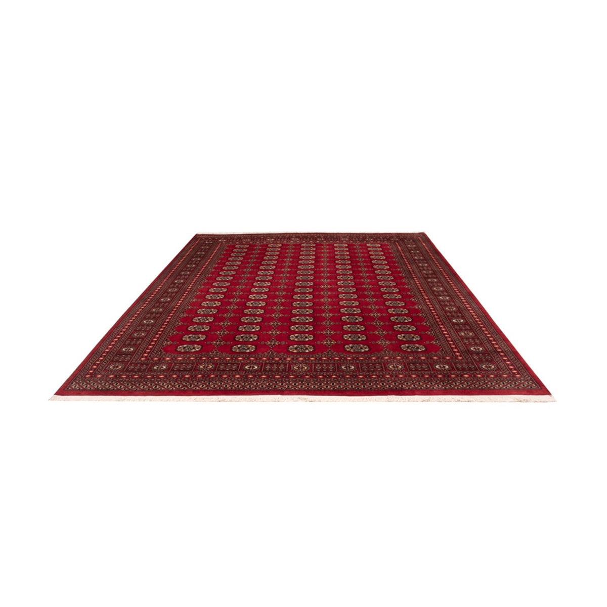 Afghaans tapijt - Bukhara - 308 x 243 cm - rood