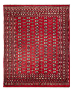 Afghaans tapijt - Bukhara - 312 x 244 cm - rood