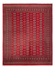 Bukhara Tapijt 244x312cm - Oosters Tapijt