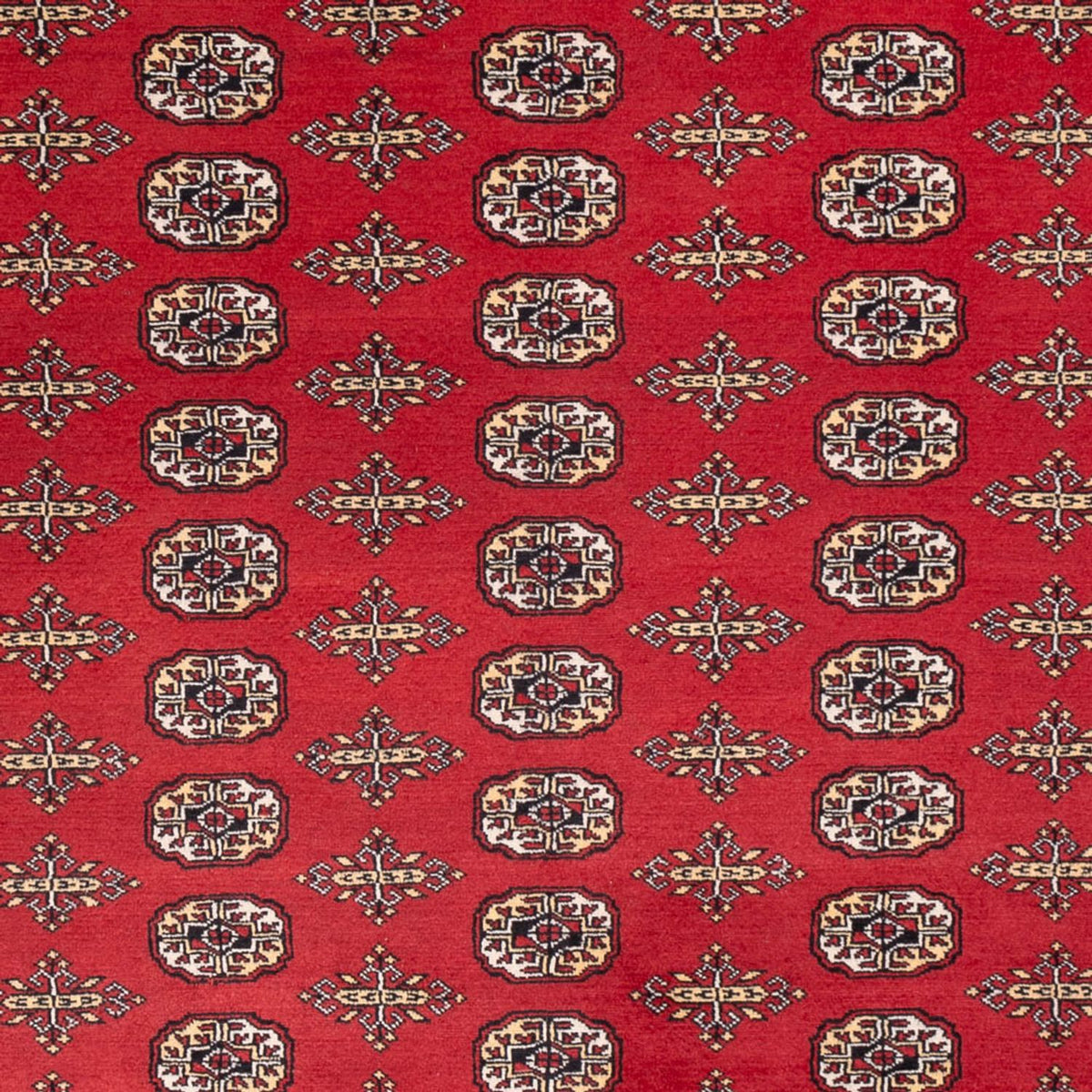 Afghaans tapijt - Bukhara - 312 x 244 cm - rood