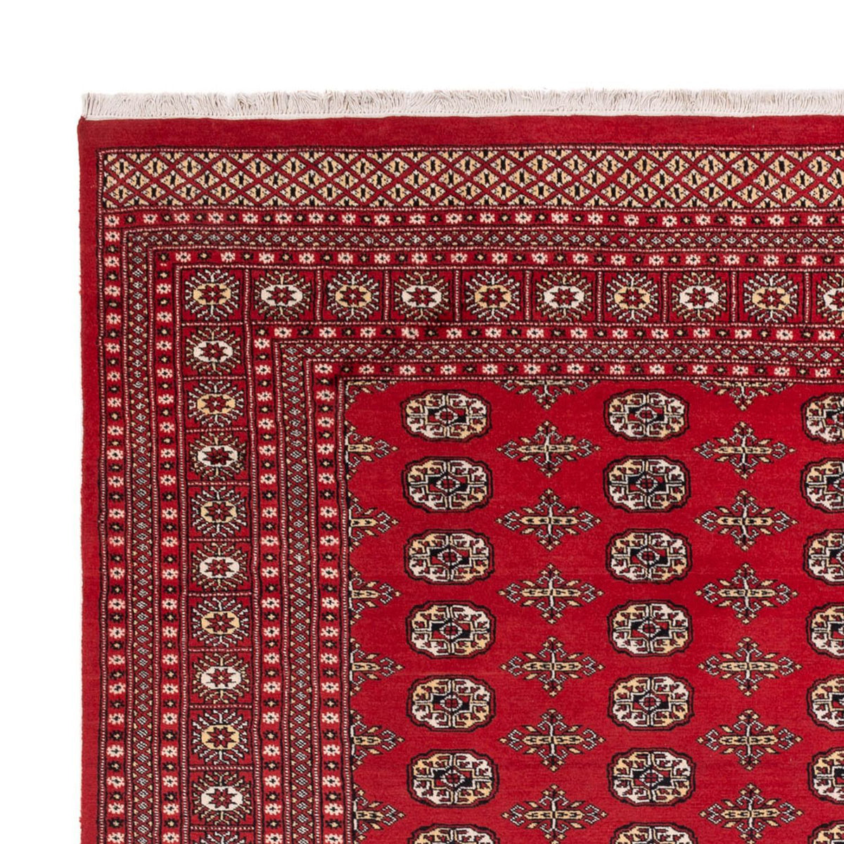 Afghaans tapijt - Bukhara - 312 x 244 cm - rood