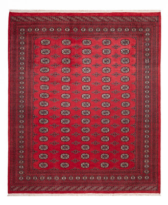 Afghaans tapijt - Bukhara - 305 x 246 cm - rood