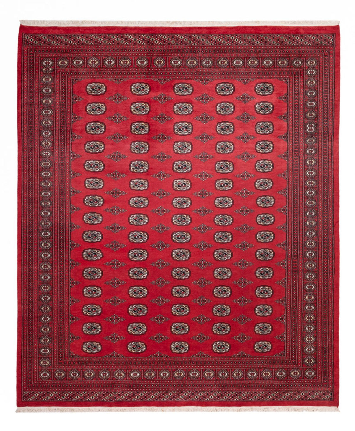 Afghaans tapijt - Bukhara - 305 x 246 cm - rood