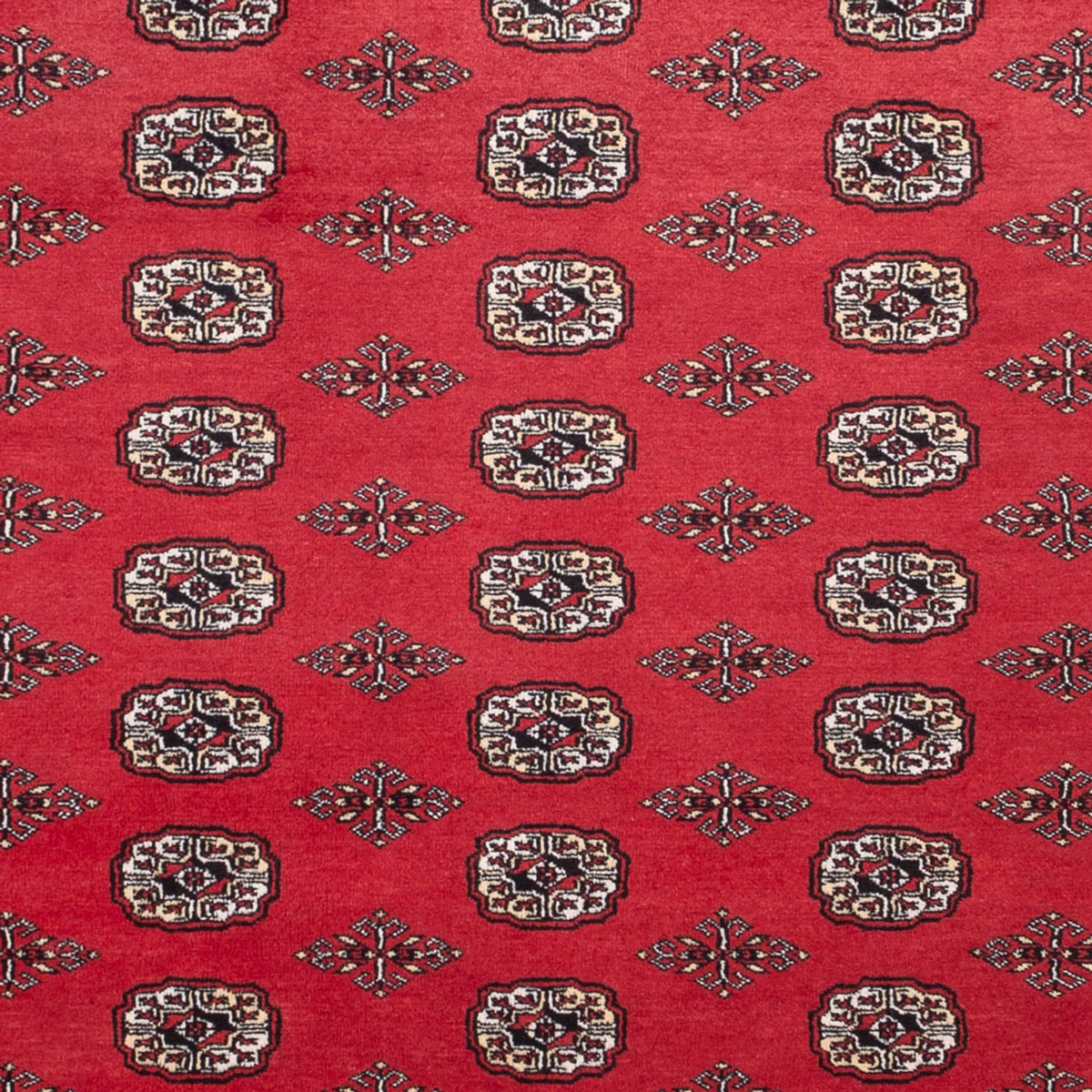Afghaans tapijt - Bukhara - 305 x 246 cm - rood