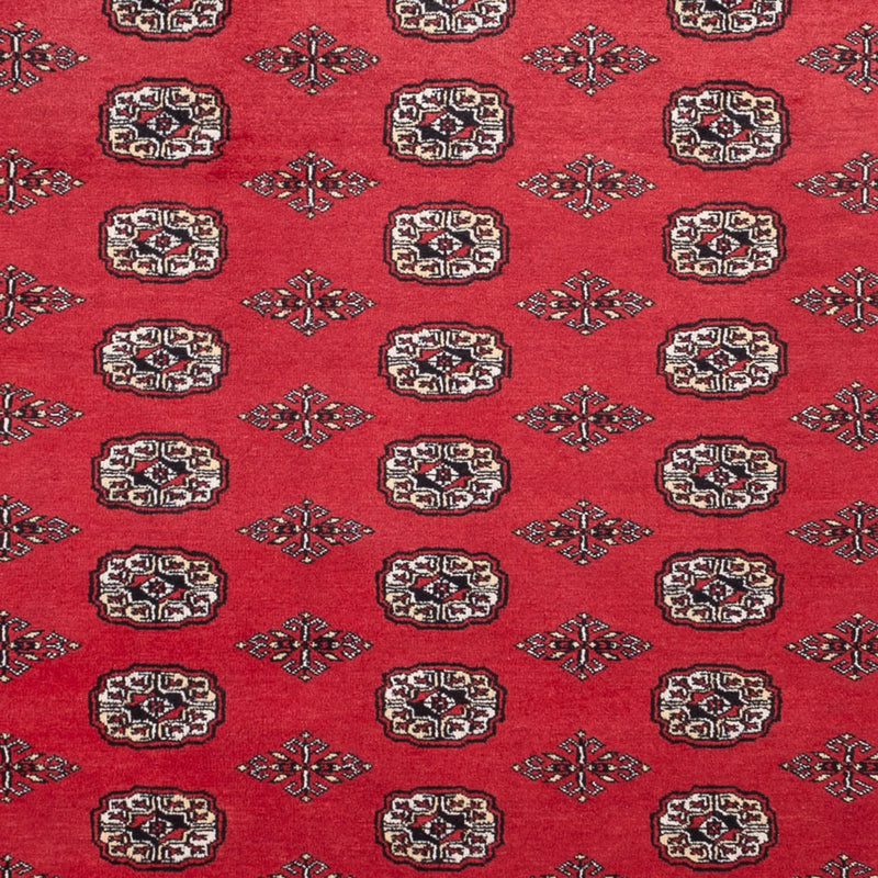Afghaans tapijt - Bukhara - 305 x 246 cm - rood