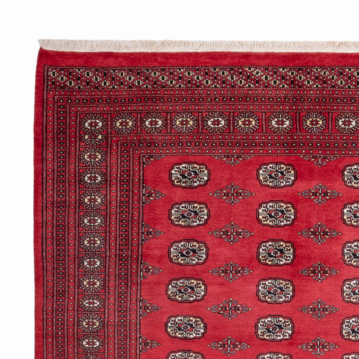 Afghaans tapijt - Bukhara - 305 x 246 cm - rood