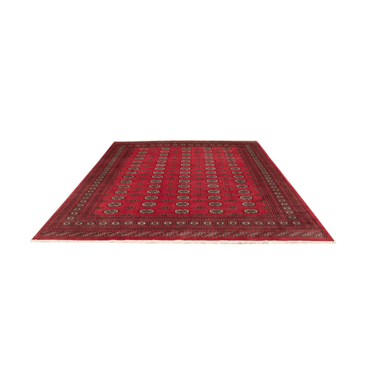 Afghaans tapijt - Bukhara - 305 x 246 cm - rood