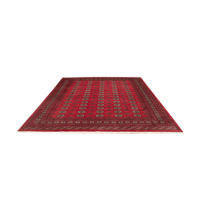 Afghaans tapijt - Bukhara - 305 x 246 cm - rood
