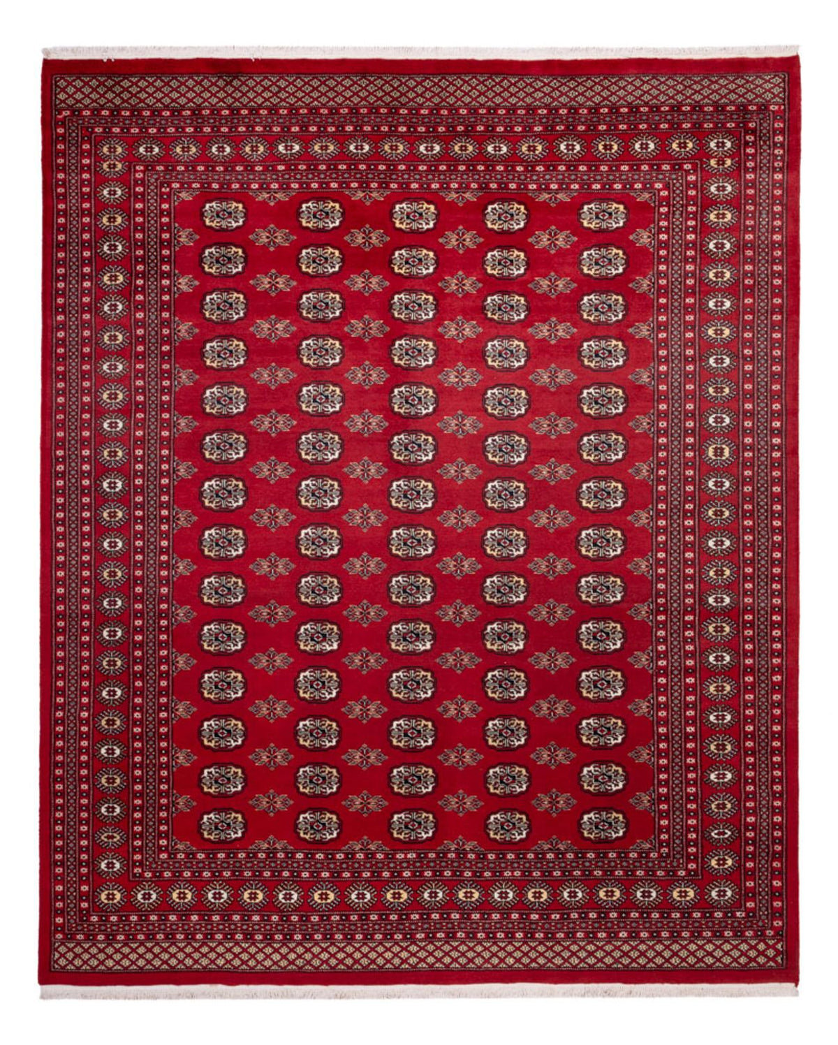 Afghaans tapijt - Bukhara - 301 x 245 cm - rood