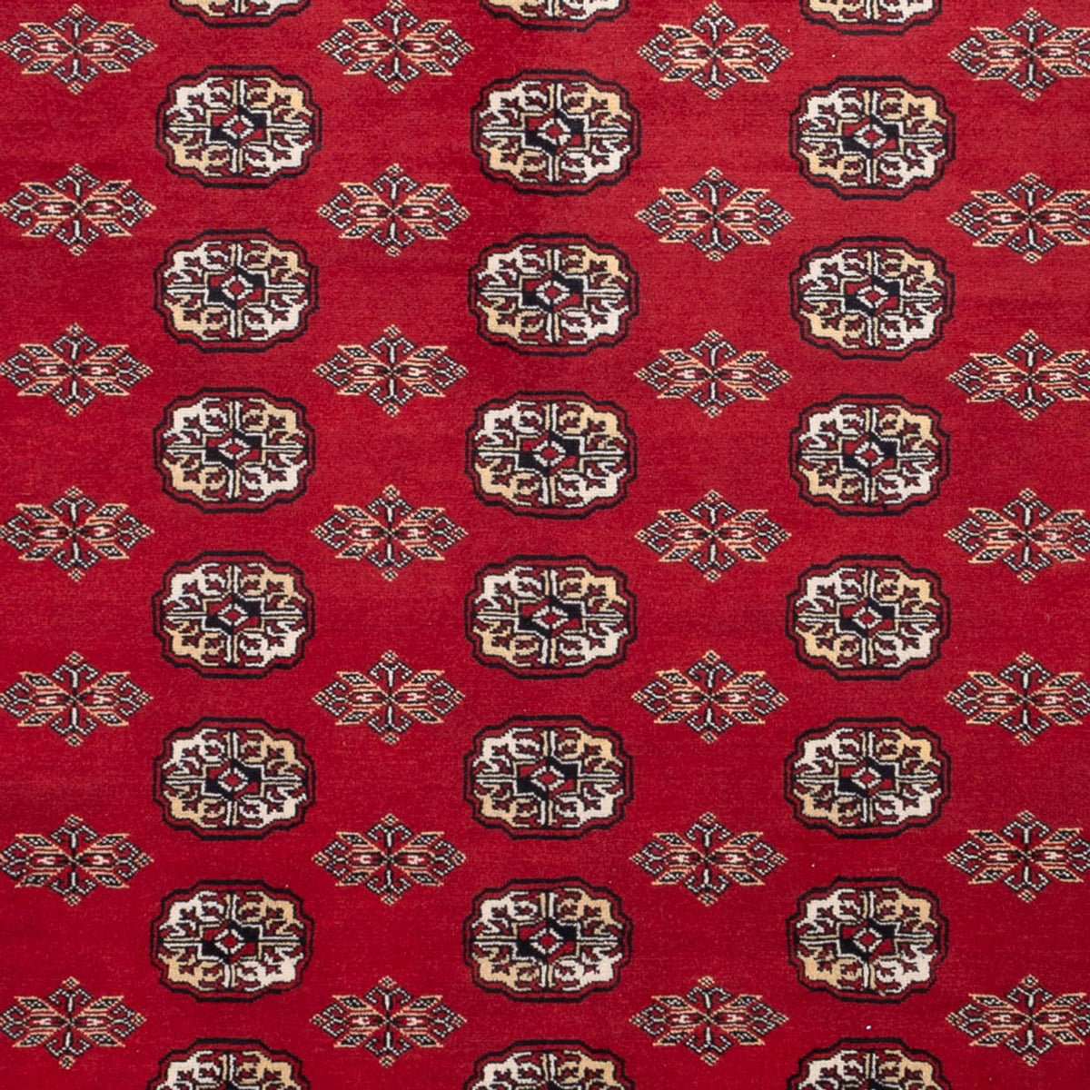 Afghaans tapijt - Bukhara - 301 x 245 cm - rood