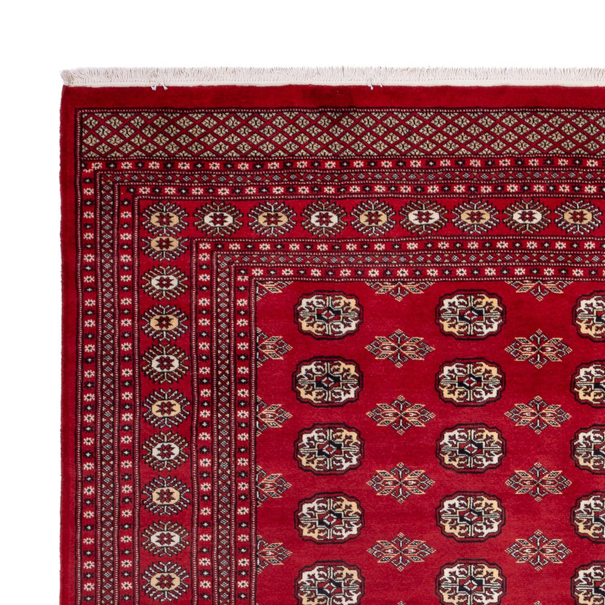 Afghaans tapijt - Bukhara - 301 x 245 cm - rood
