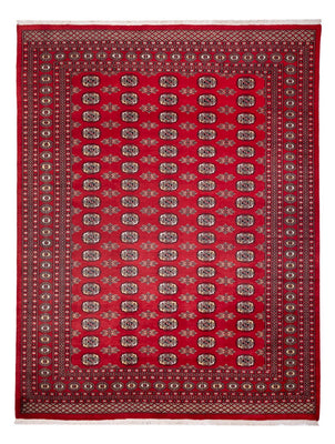 Afghaans tapijt - Bukhara - 314 x 243 cm - rood