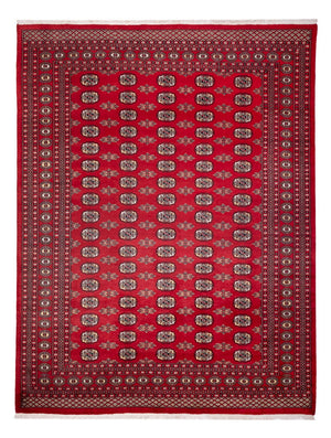 Afghaans tapijt - Bukhara - 314 x 243 cm - rood