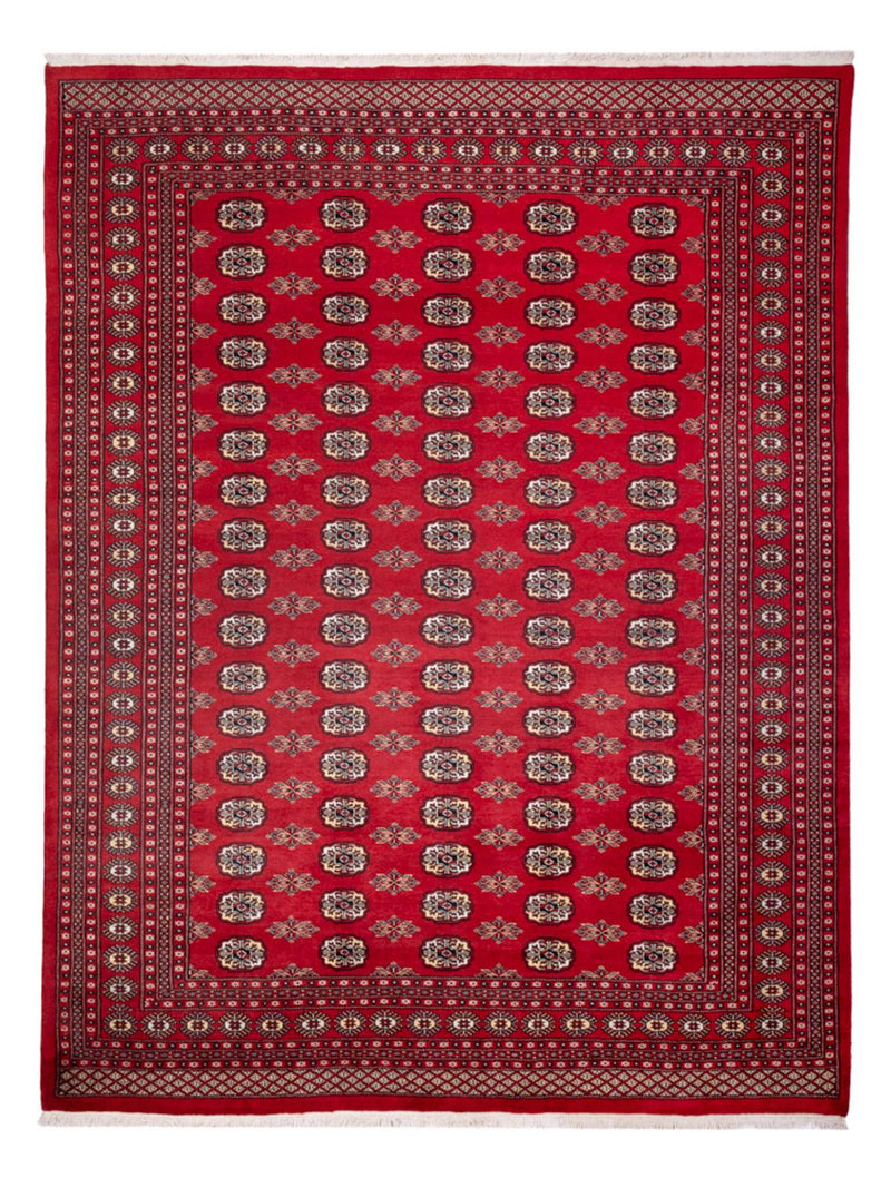 Afghaans tapijt - Bukhara - 314 x 243 cm - rood